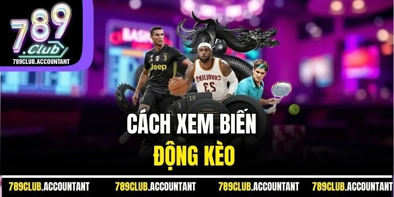 Cách xem biến động kèo