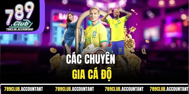 Các chuyên gia cá độ